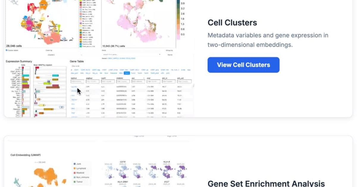 Taking Agency in Cancer Treatment: Sytse's Journey with Osteosarcoma