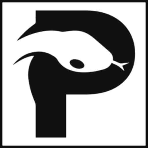 Is Python becoming Pinyin? – Reflections from PyCon US