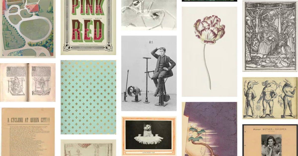 Public Domain Image Archive Opens 11,000+ Free Images for Creative Reuse