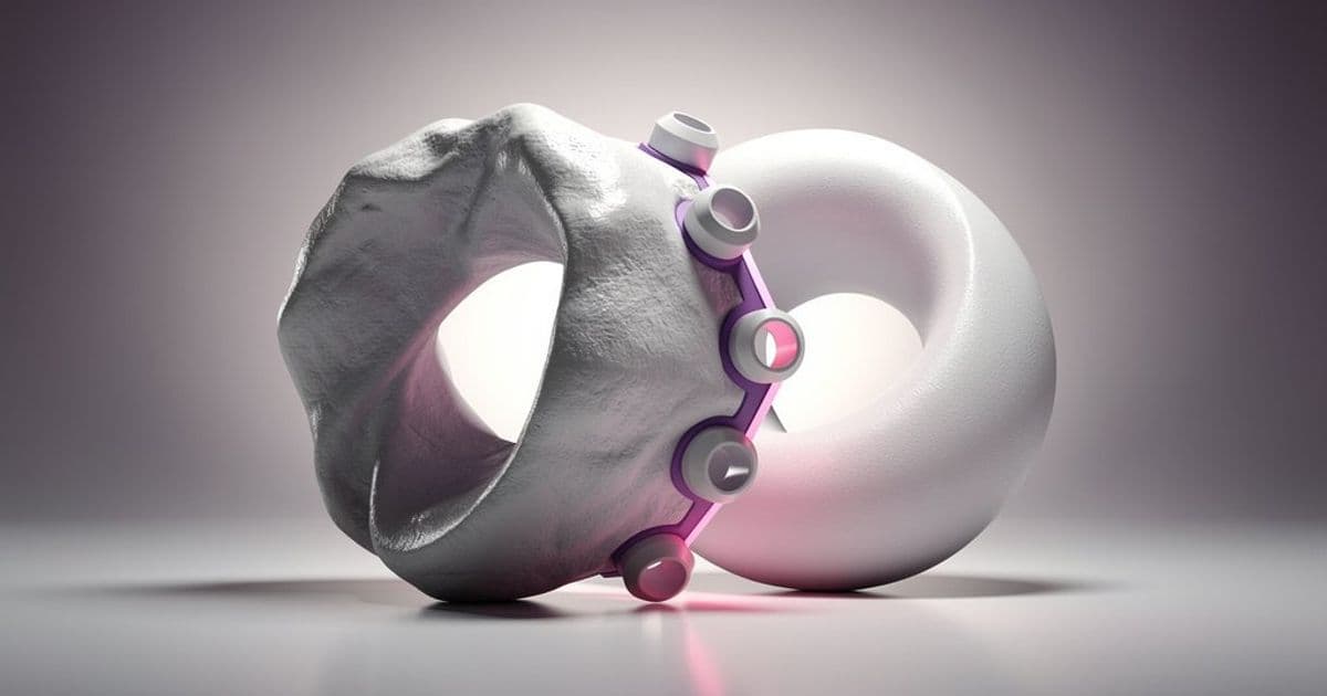 Stop Picking Sides: Managing the Tension Between Adaptation and Optimization