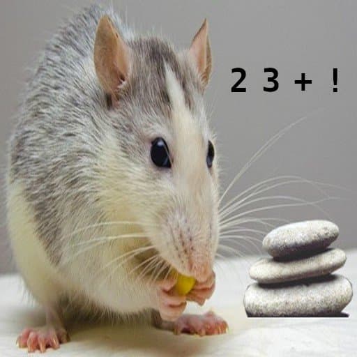 Mouse: The Tiny Yet Powerful Programming Language That Defined an Era of Microcomputing