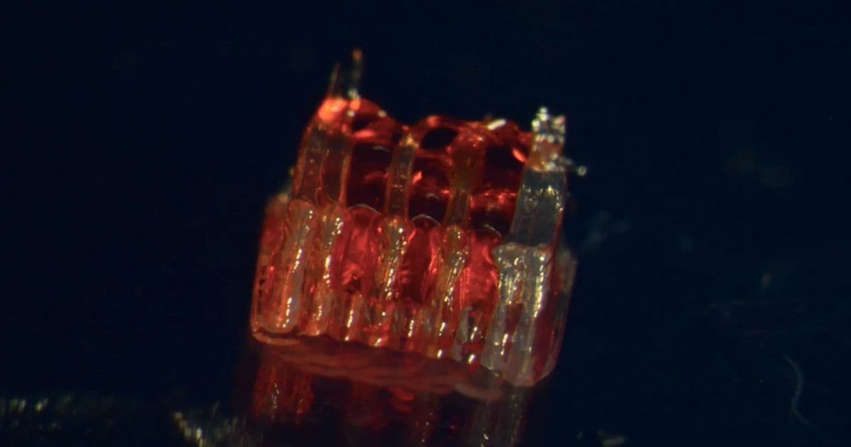 3D-Printed 'Neural Relays' Restore Movement in Paralyzed Rats, Paving Way for Human Spinal Repair