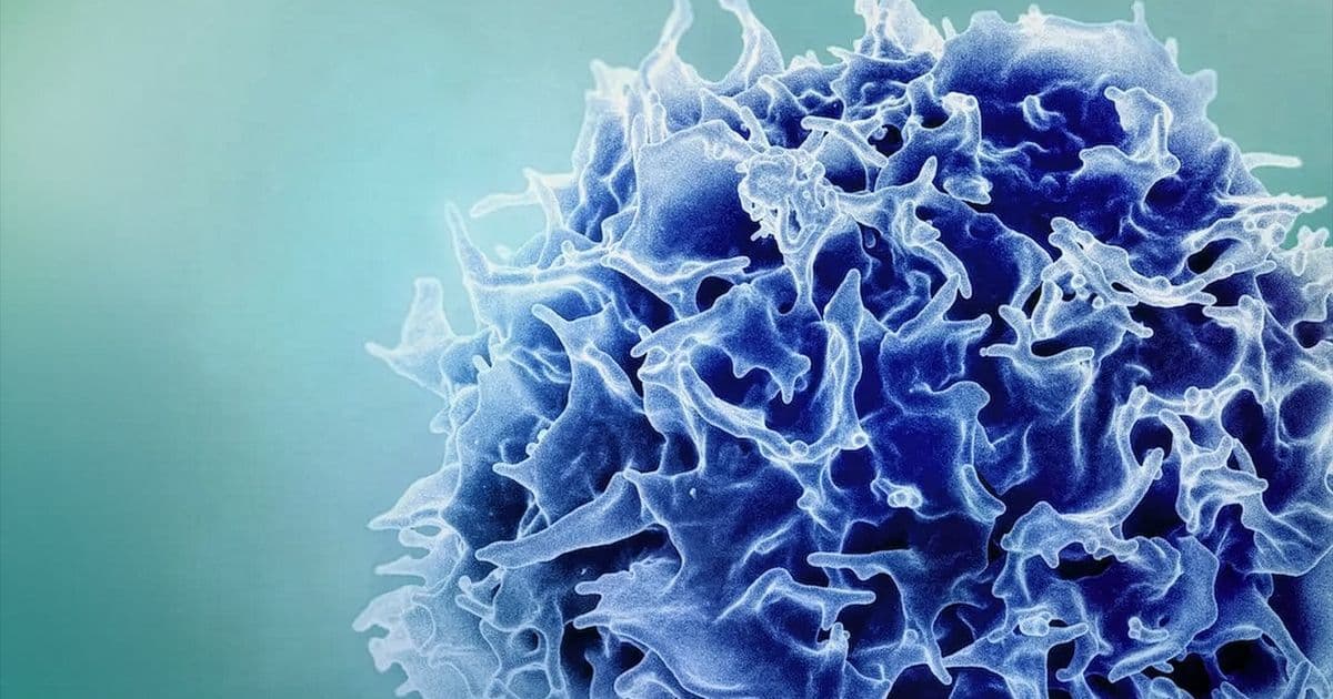 Immune-Remodeling mRNA Technology Generates Supercharged T Cells for Cancer Eradication