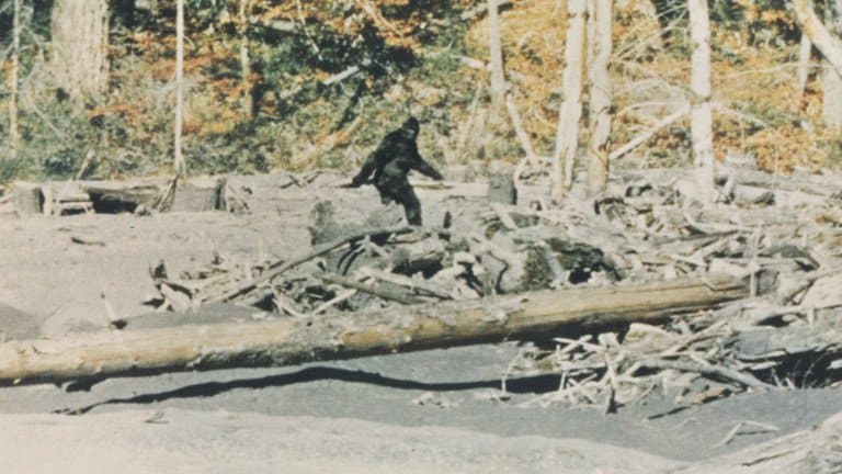 Bigfoot Believers and the Science of Conspiracy Thinking