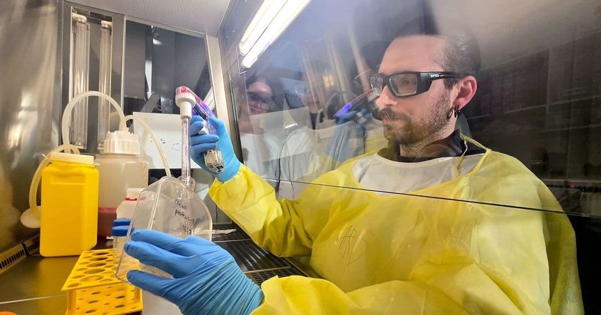 AI-Powered 'Evolution Machine' Accelerates Mammalian Cell Engineering for Vaccines and Therapeutics