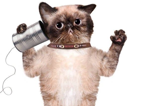 AI search atomizes our information, warns govt designer • The Register