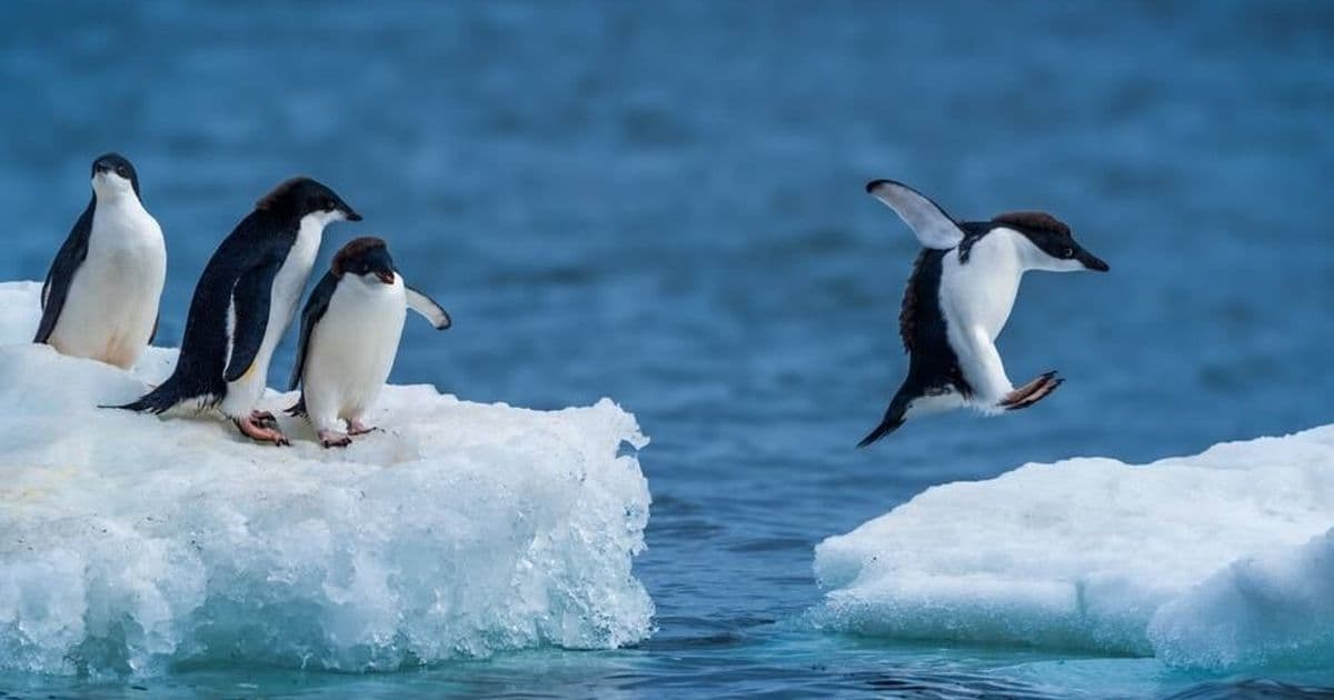 AI Threats Don't Justify Abandoning Open Source Security