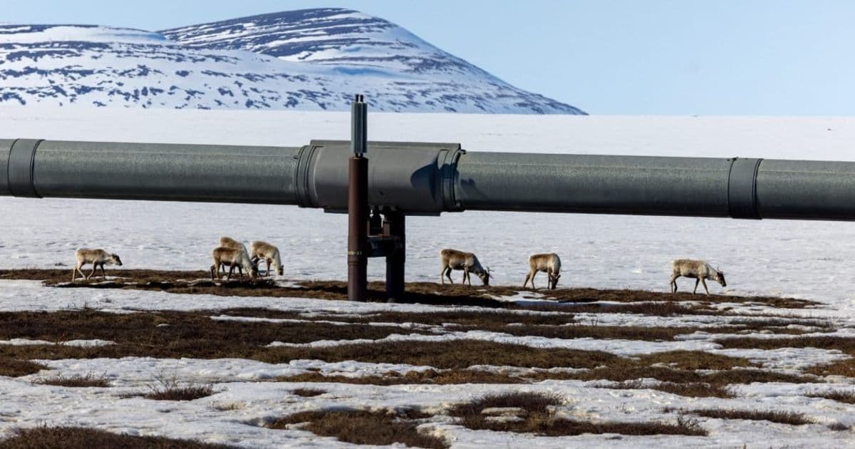 Alaska’s Oil Revival Sparks a New Energy Rush Into the Arctic