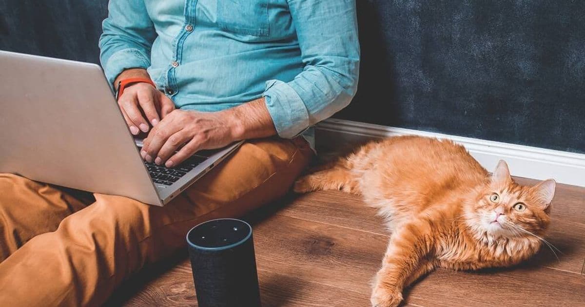 Plex Alexa Integration Shutting Down: What It Means for Your Smart Home Media Setup