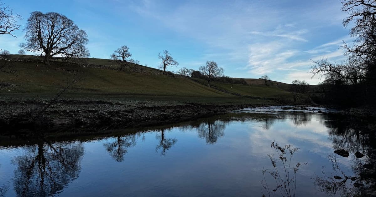 Finding a New Home for Local S3: Evaluating MinIO Alternatives After Its Commercial Pivot