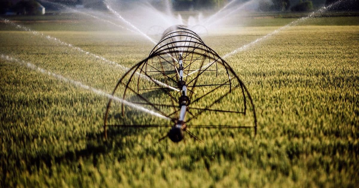 Amazon Claims Data Center Water Use Equals 0.075% of U.S. Landscape Irrigation, Details Efficiency Gains