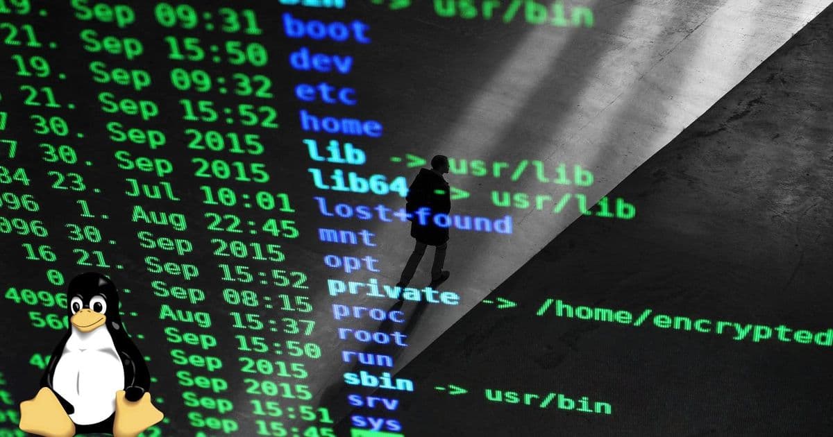 AMD VP's AI-Generated Python Driver: A New Tool for GPU Debugging or Just a Tech Demo?