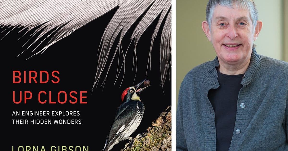 Birds Up Close Reveals Engineering Marvels in Avian Biology