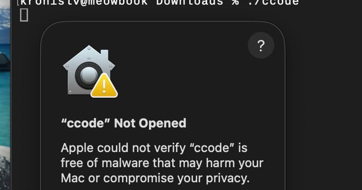 Why Apple’s Developer Program Is a Barrier for Small‑Scale Go Utilities