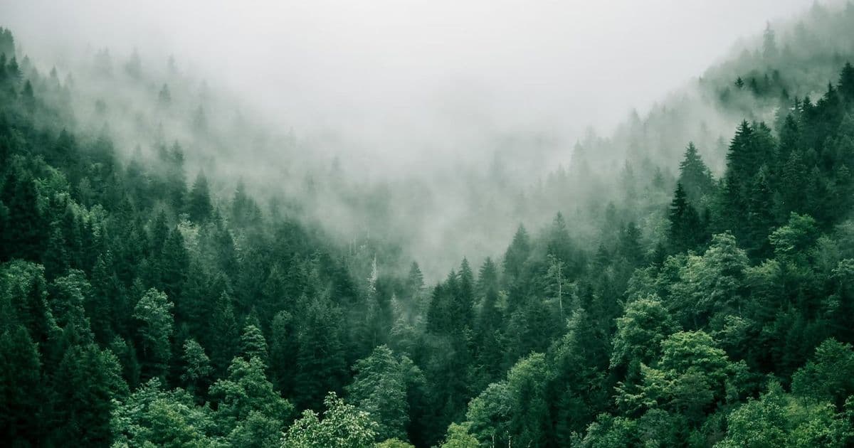 The Art of Allocation Minimization: Applying PWP to Real-World Email Processing