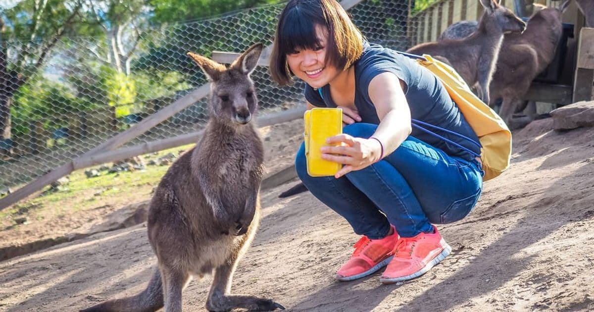 Australia's Social Media Ban for Kids: Big Tech's Compliance Falls Short