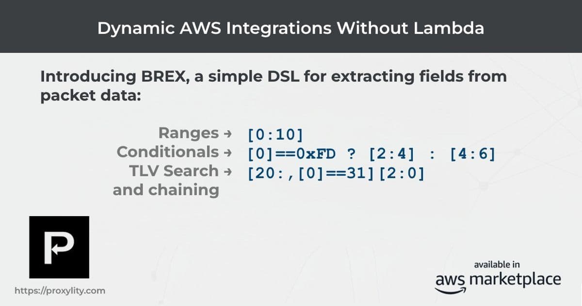 BREX: The Domain-Specific Language for Mastering Binary Data Extraction