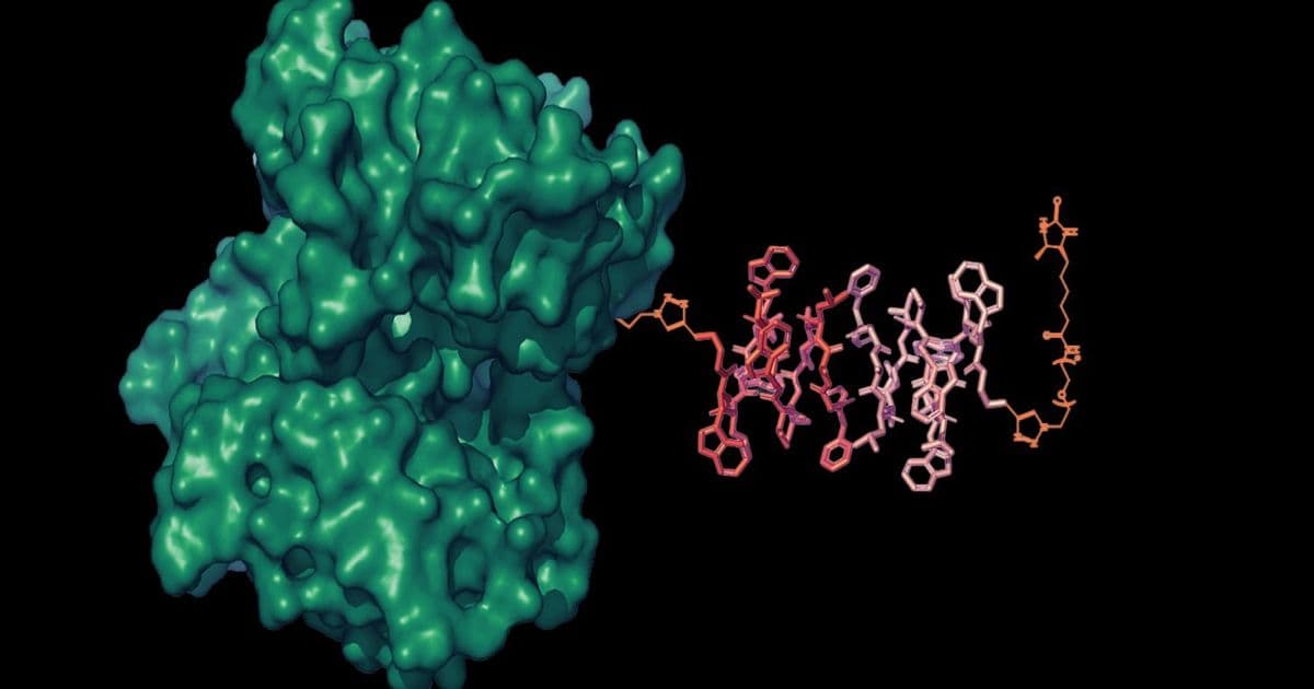 MIT engineers unveil liposomal nanoparticle reporters that amplify MRI signals for molecular imaging