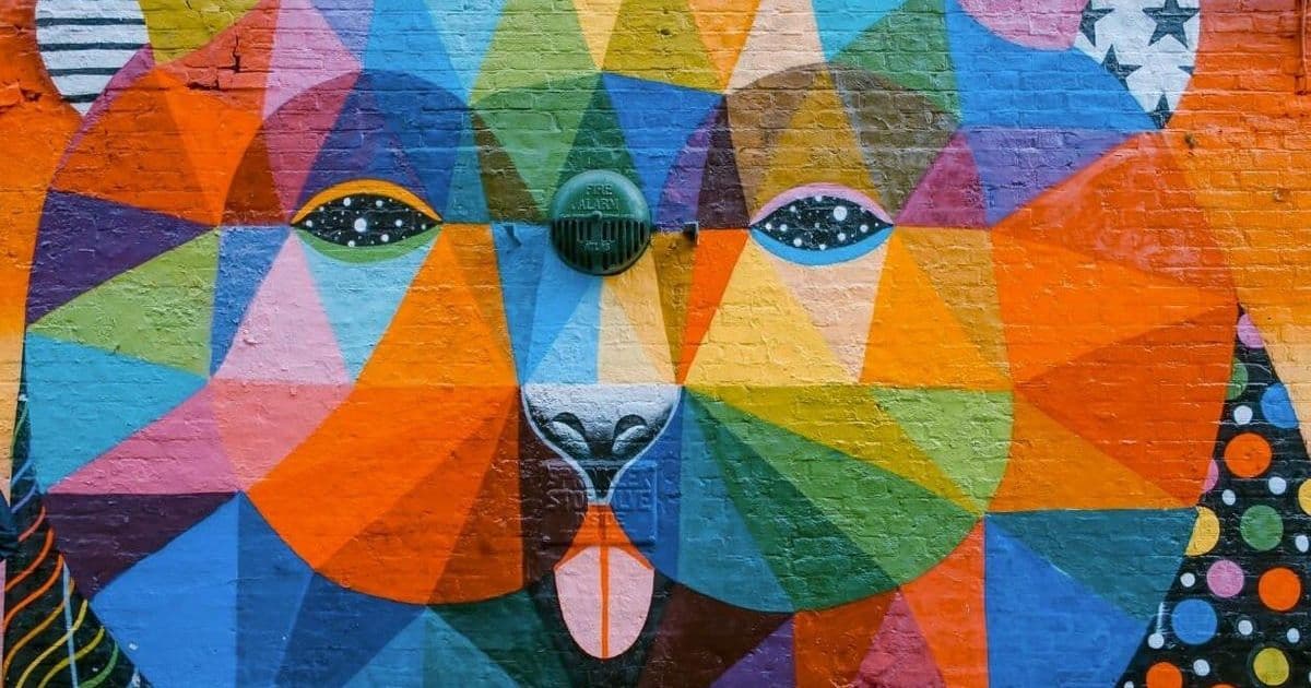 Canva, Affinity, and the Quiet Revolt Against Adobe’s Creative Cloud Tax