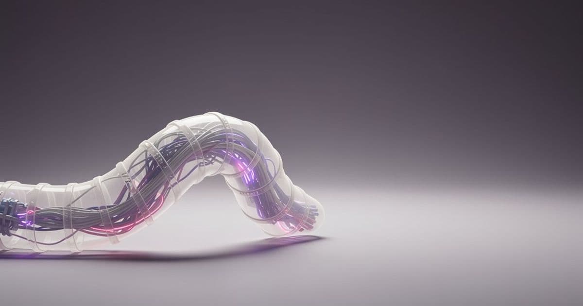 Bio-Robotics Lessons from Nature: How C. elegans Inspires Autonomous Systems