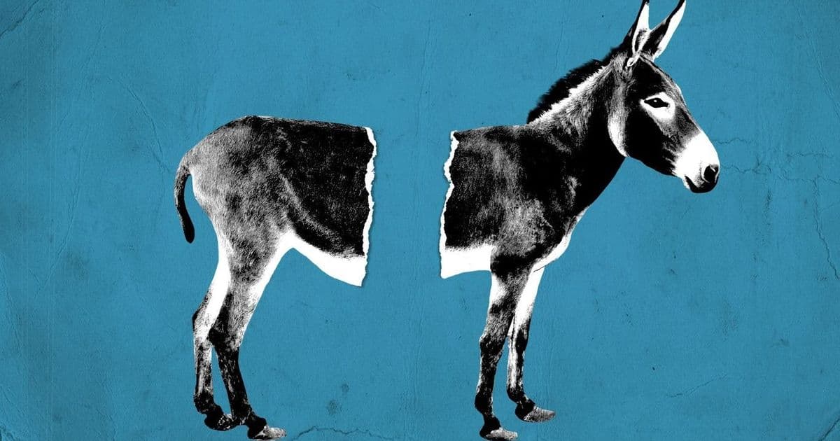 Centrist Democrats Launch '28 Mission: Stop AOC