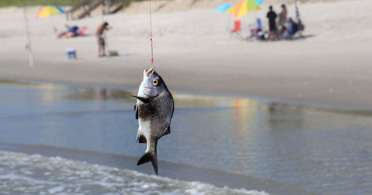 ChatGPT Prompt Injection Turns Web Pages Into Phishing Lures (ChatGPhish)