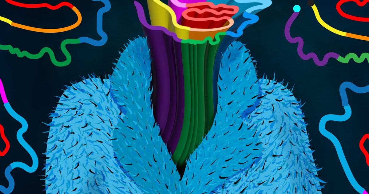 Chemists Map the Dynamic 'Fuzzy Coat' of Tau Proteins Using Advanced NMR
