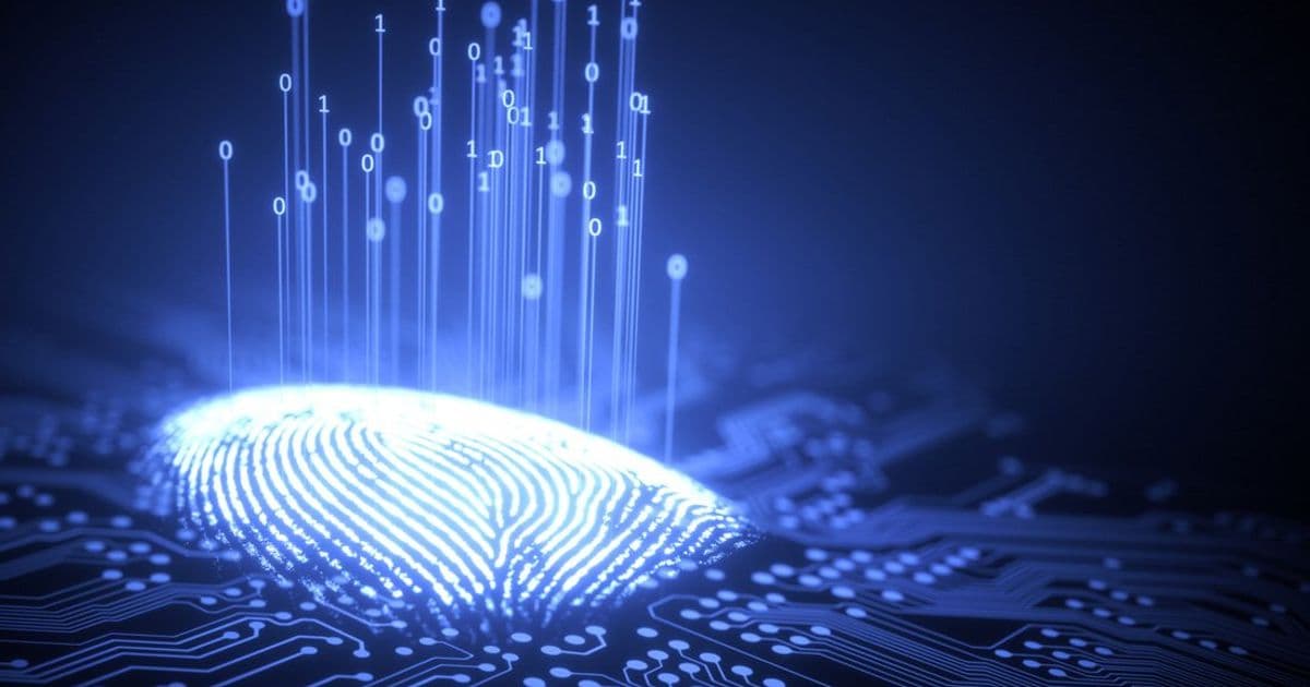 Shared Chip Fingerprints Enable Direct Authentication Without Server Reliance