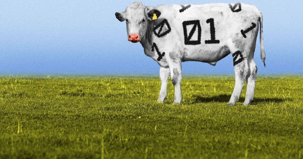 AI Integration Transforms Western Ranching Operations, Boosting Efficiency and Profit Margins