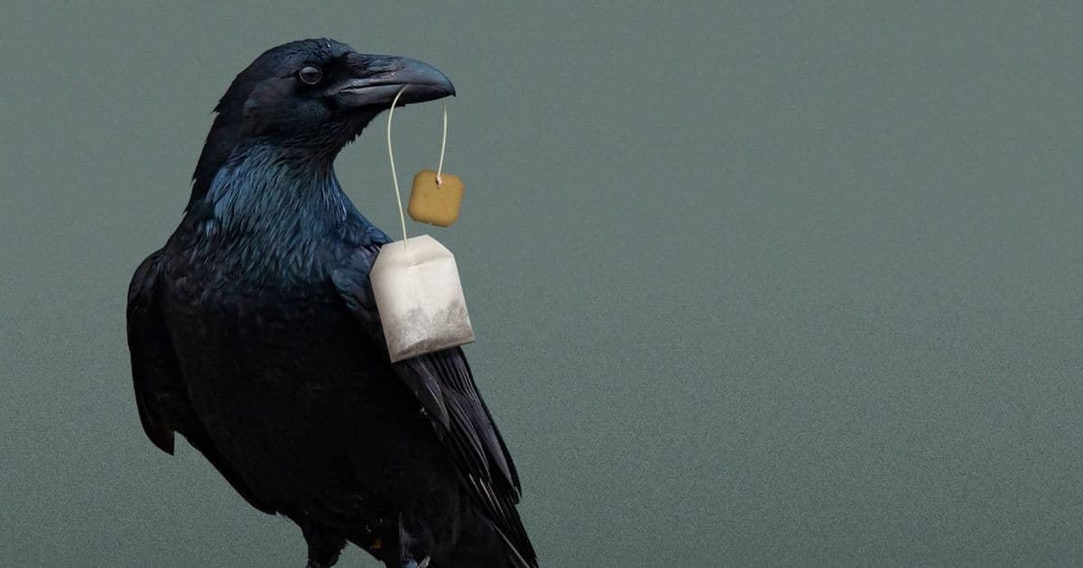 Death Cafe: Why strangers are talking about dying over tea