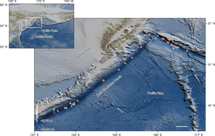 Deepest Ecosystem Ever Found: Chemosynthetic Communities Thrive in Hadal Trenches, Rewriting Carbon Cycle Models