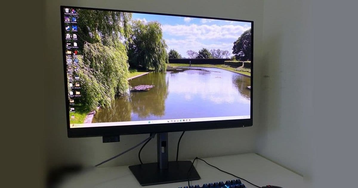 Dell UltraSharp U3226Q 4K 32-inch QD-OLED monitor review: Pro-grade with reference-level color