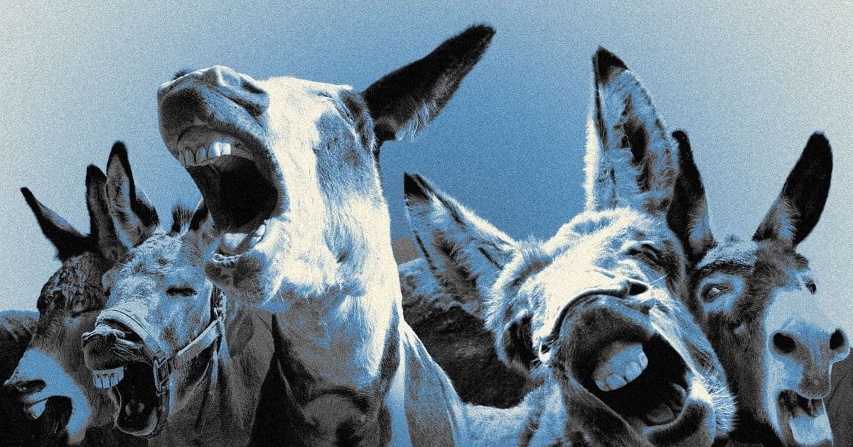 Democratic Party Civil War: $64 Million Spending Battle Reveals Deep Internal Fractures