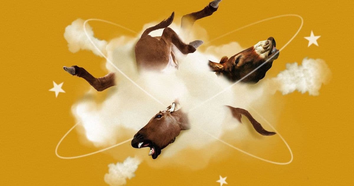 Democrats Launch Bidding War for 2028 Convention Hosting Rights