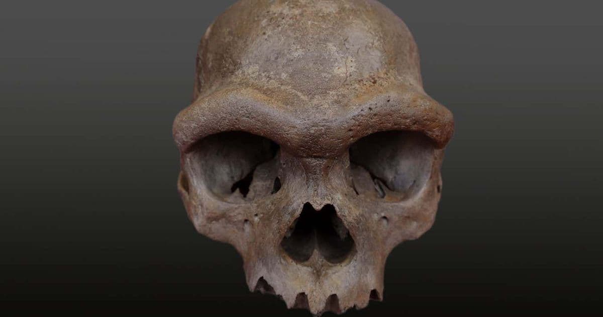 Denisovan Skull Discovery Rewrites Human Evolutionary History