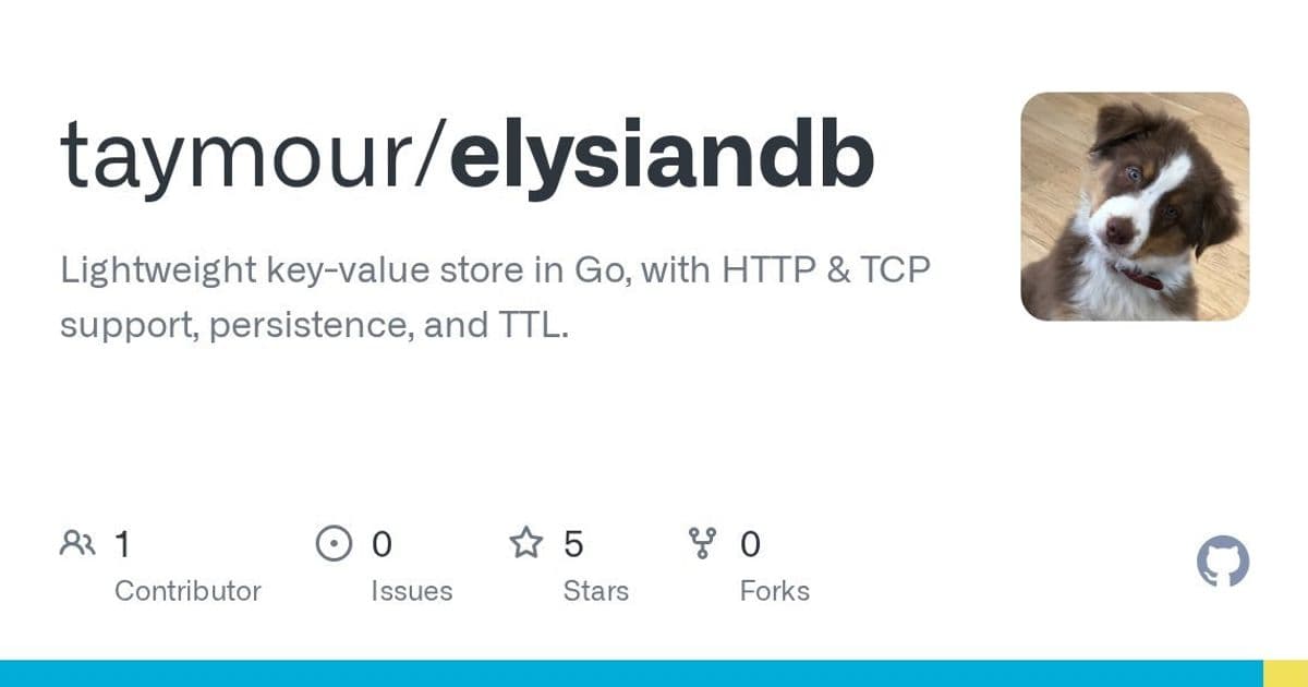 ElysianDB: The Lightweight Go-Powered Key-Value Store Challenging Performance Benchmarks