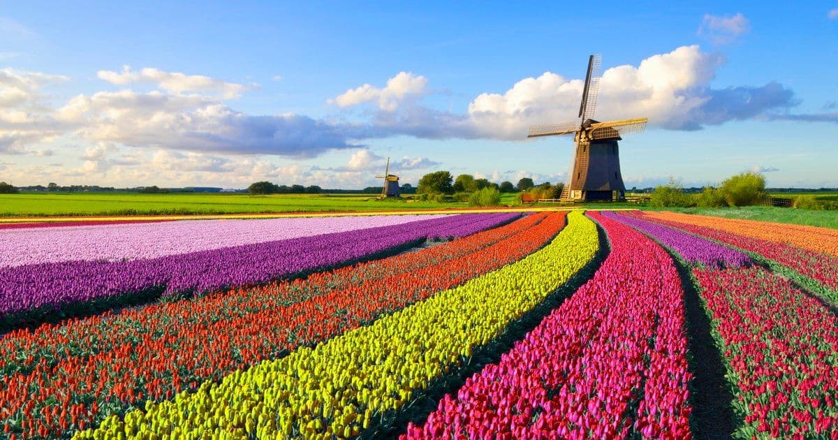 DoorDash Transforms Experimentation with Multi-Armed Bandits, Moving Beyond Traditional A/B Testing