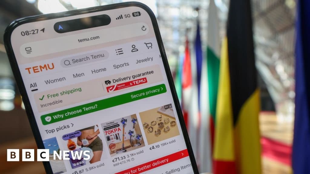 EU Slaps €200 million Fine on Temu Over Unsafe Goods