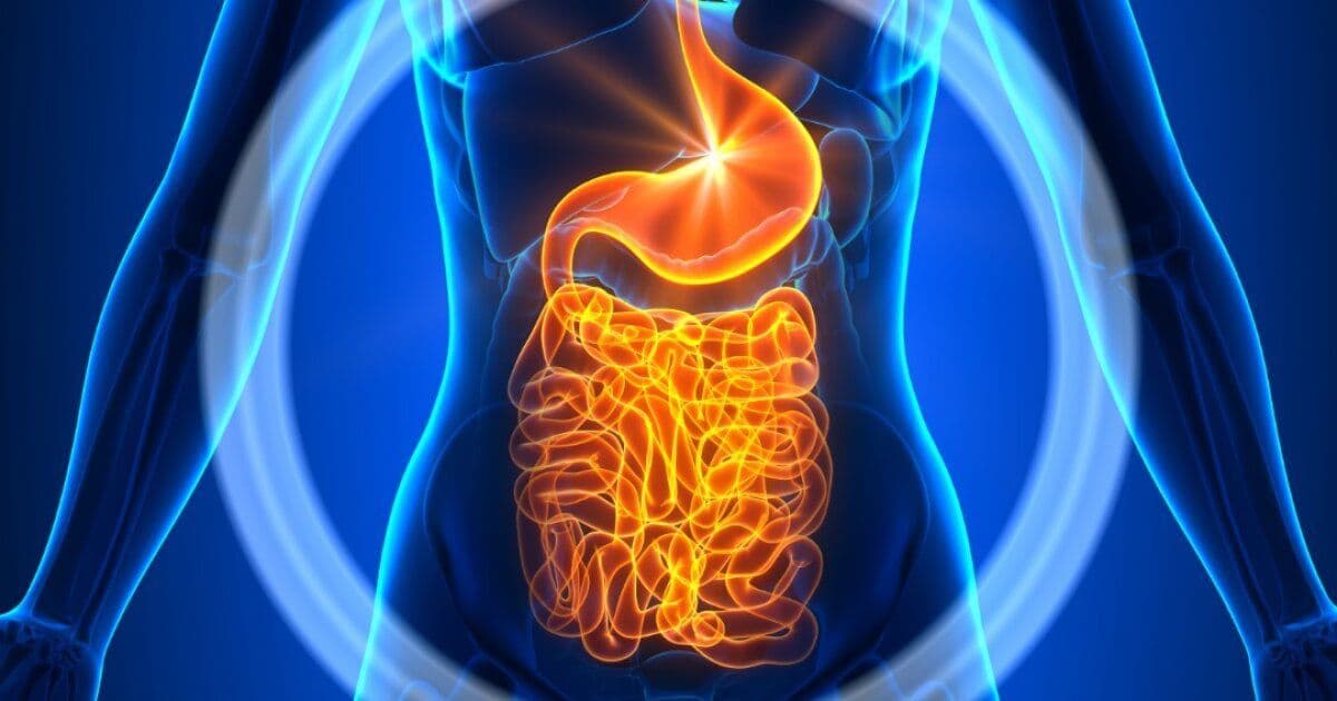 Fecal microbiota transplants show modest, sustained symptom reduction in autism trials