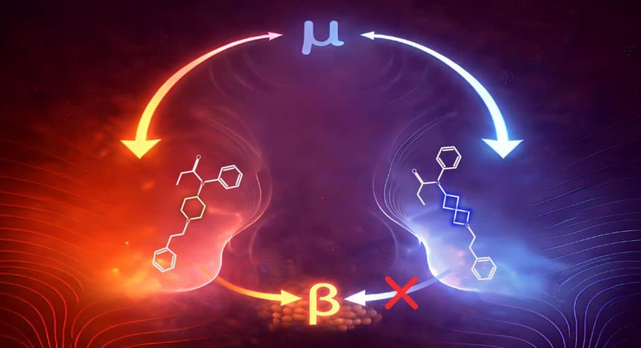 Fentanyl Makeover: Core Structural Redesign Could Lead to Safer Pain Medications