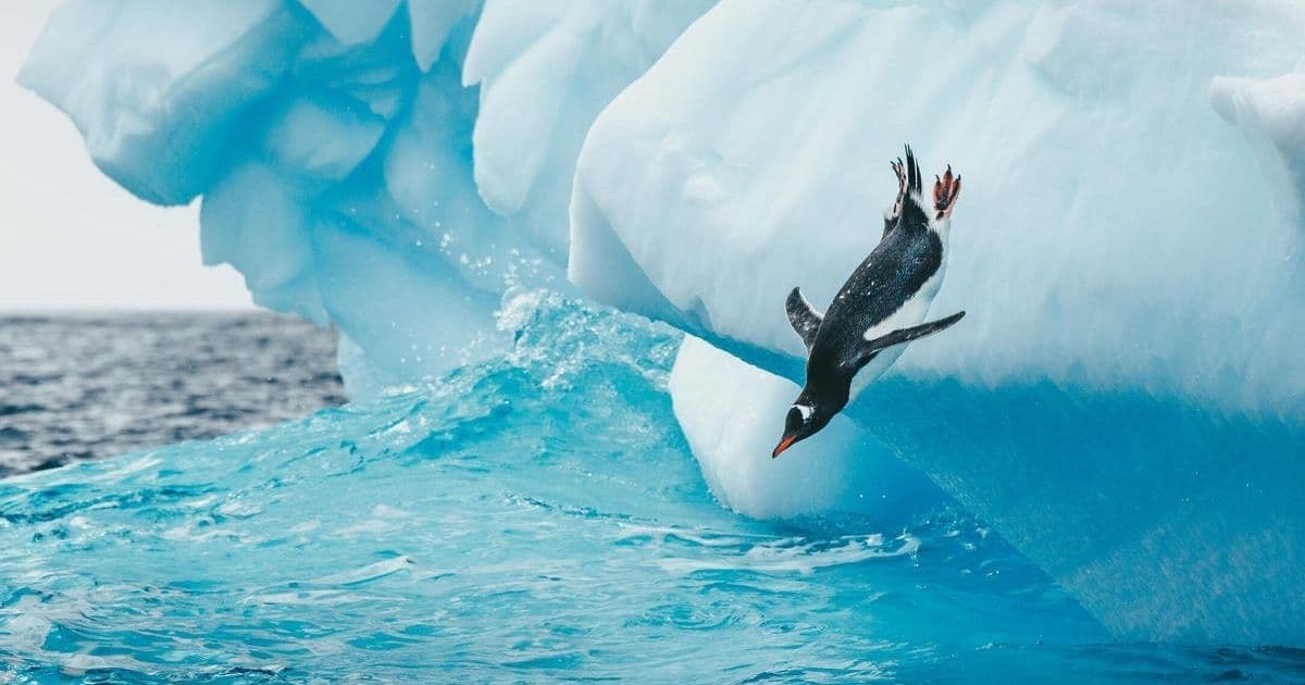 Flush Your DNS Cache: The 30-Second Fix for Linux Internet Slowdowns