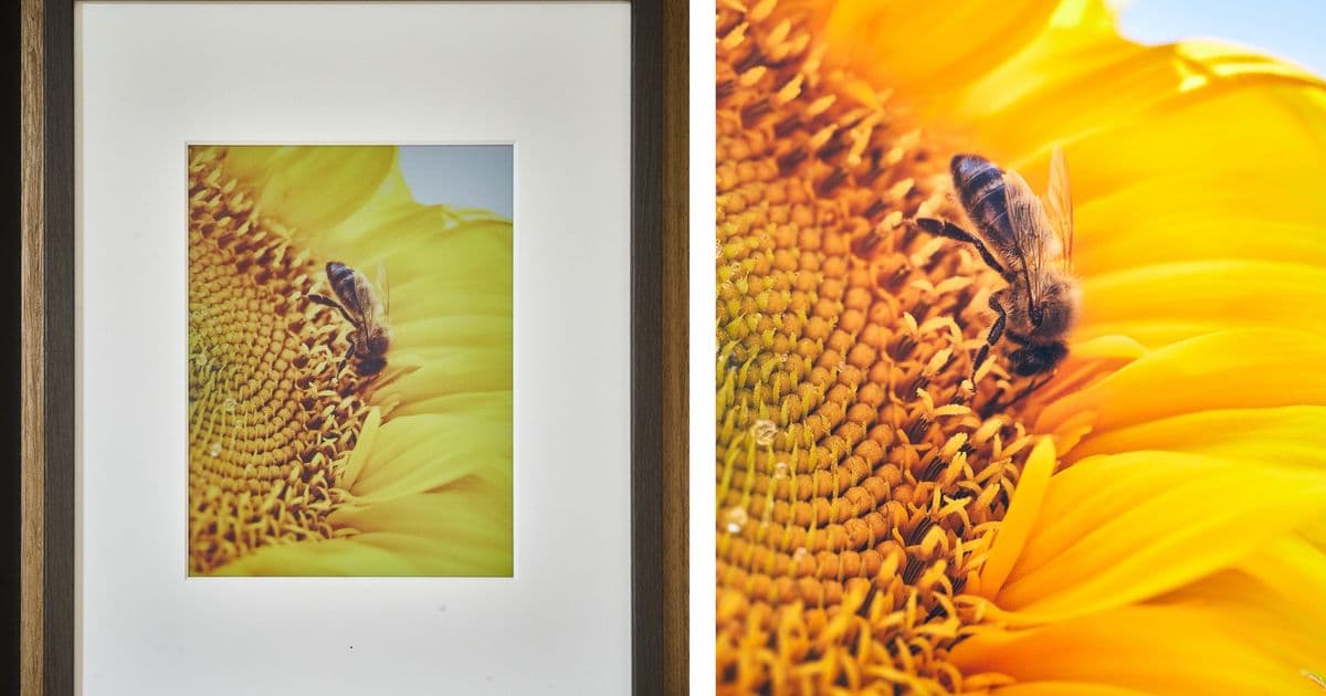 Fraimic tested: Affordable e‑ink picture frame measures battery life in years