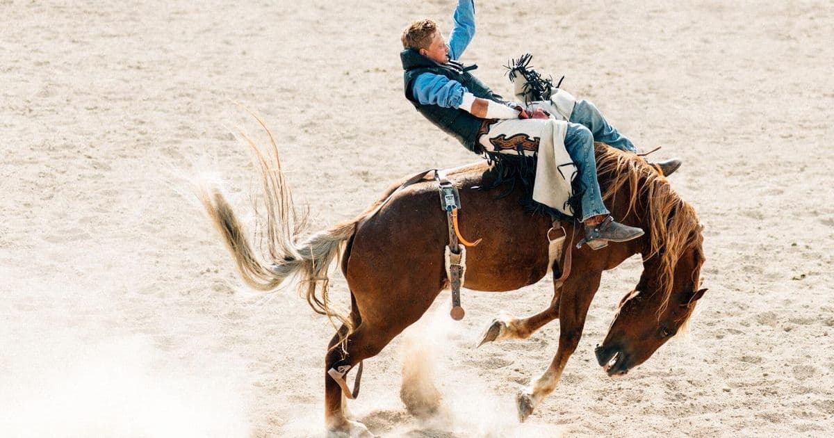 Global Standards Bodies Unite to Rein in AI's Wild West with Provenance and Authentication Frameworks