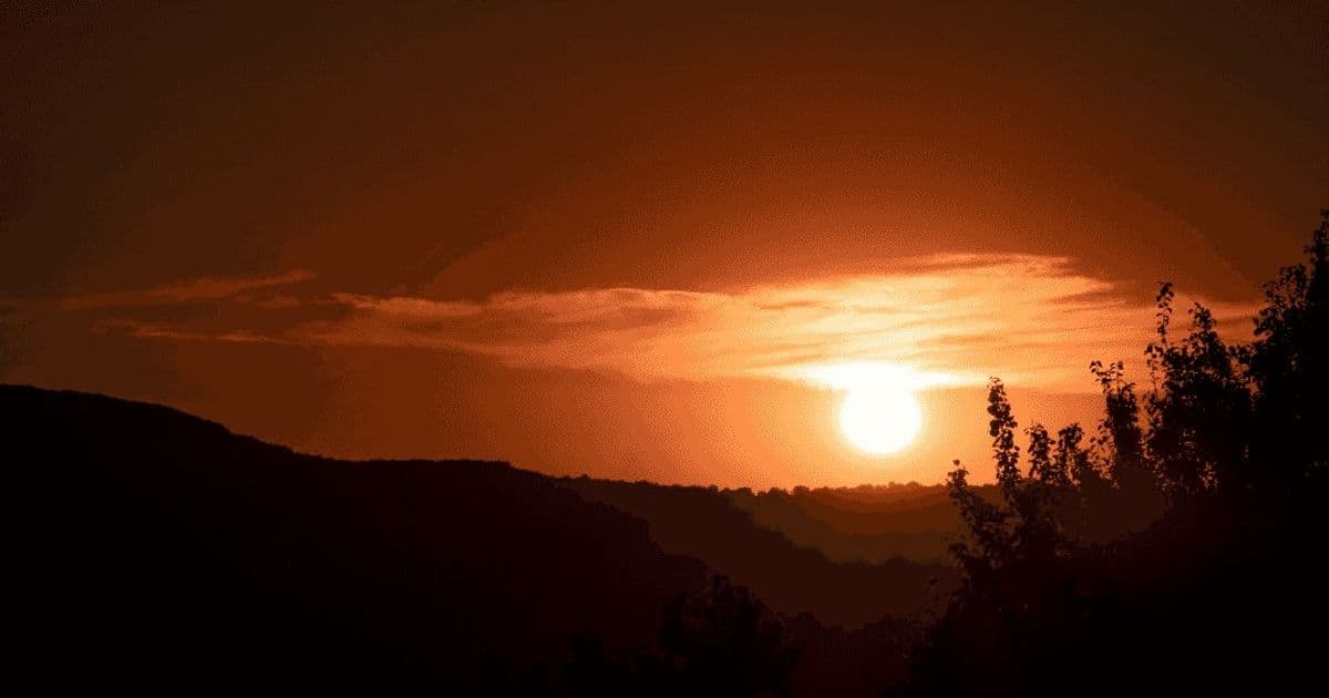 The AI Coding Split: Mourning Different Losses in a Changing Craft