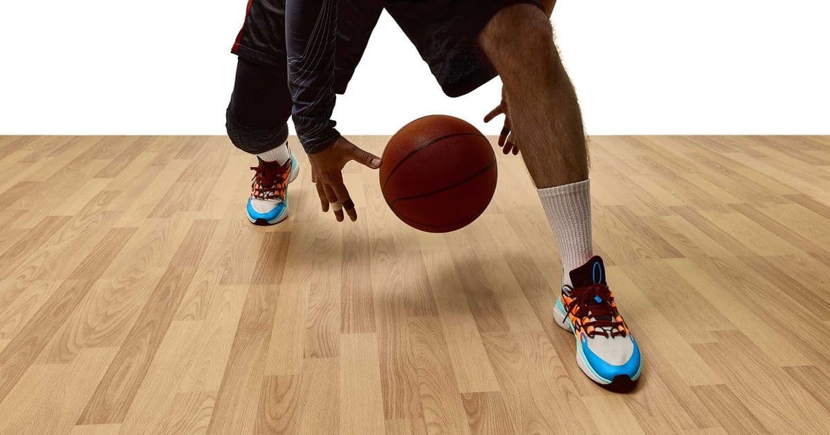 Harvard researchers solve the mystery of squeaky sneakers