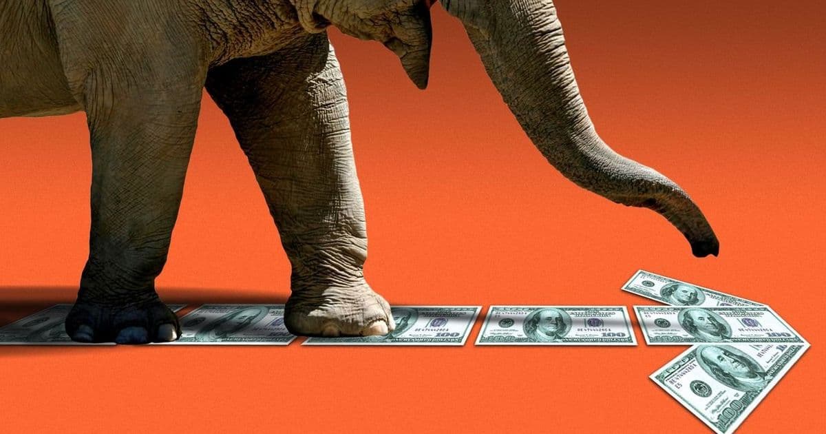 How a $1 Million Donation to Trump Allies Propelled a Georgia Businessman's Political Ascent