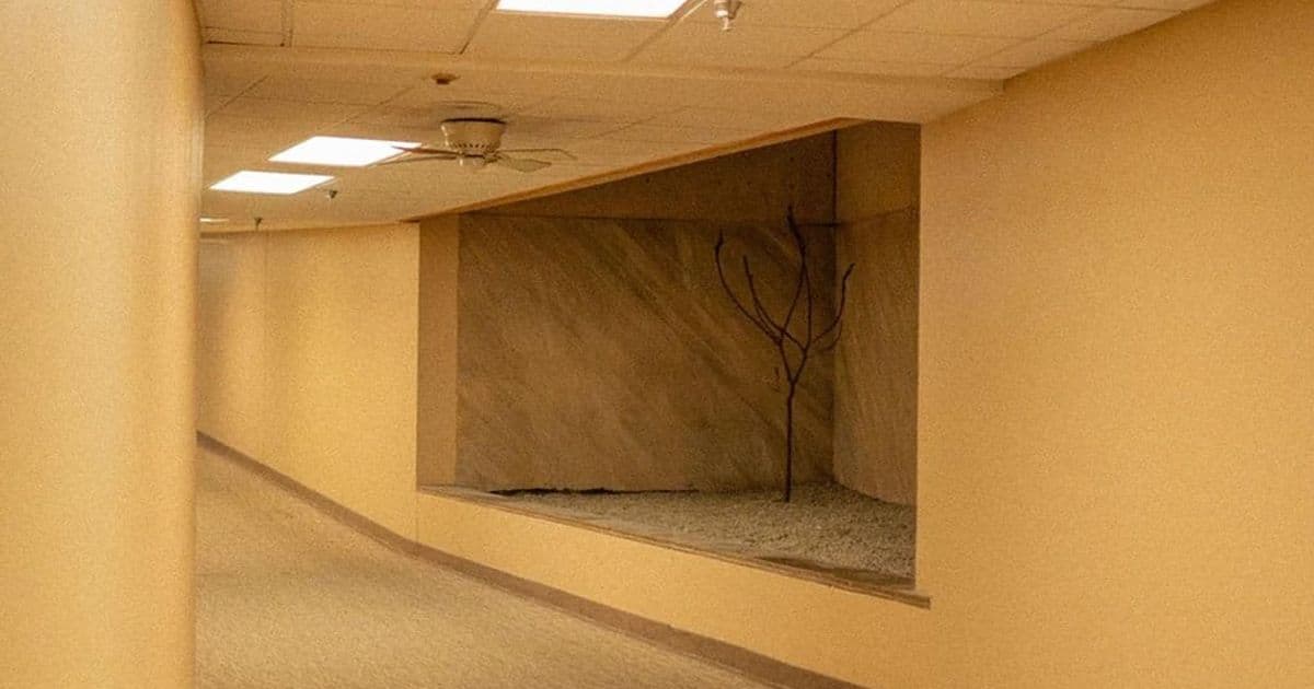 The Rise of Liminal Spaces: How Digital Culture Found Comfort in Uncertain Transitions