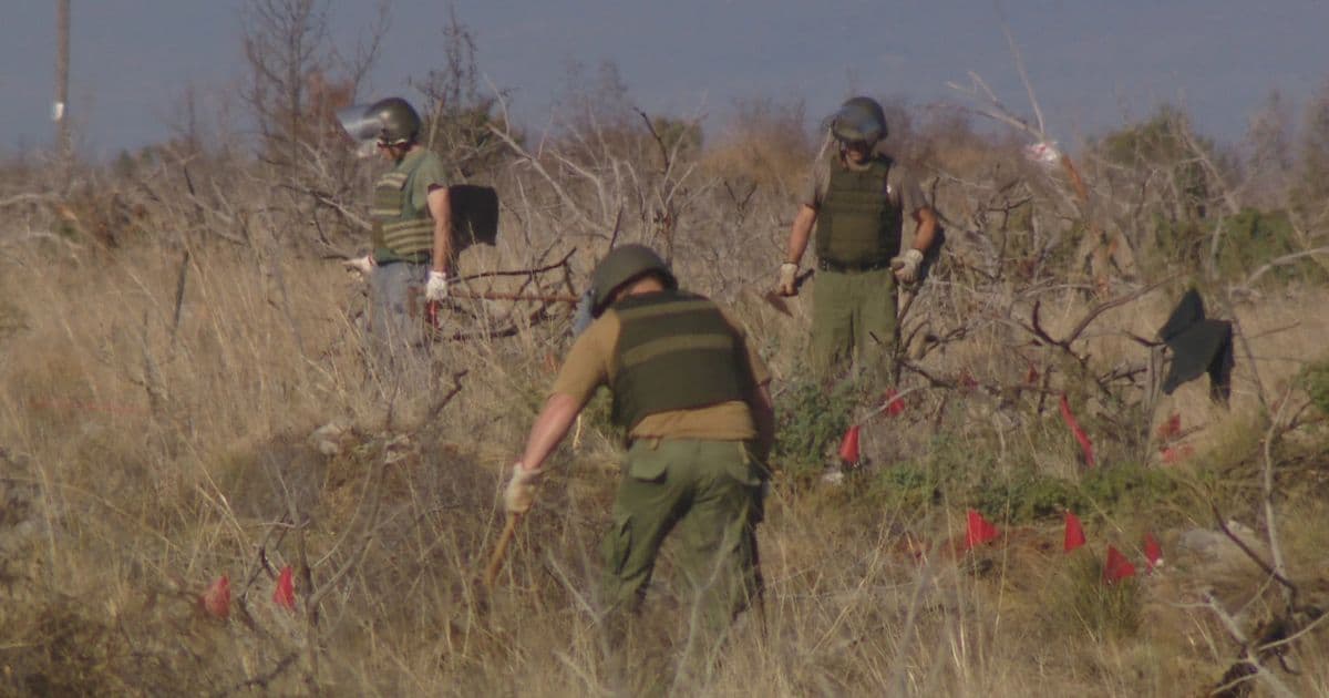 Croatia Declares Landmine-Free Status After 31 Years of Demining