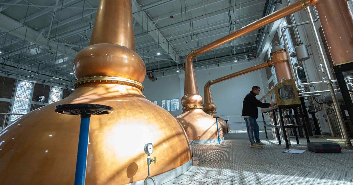 China's Domestic Whisky Distillers Challenge Global Giants Amid $2.1 Billion Market Boom